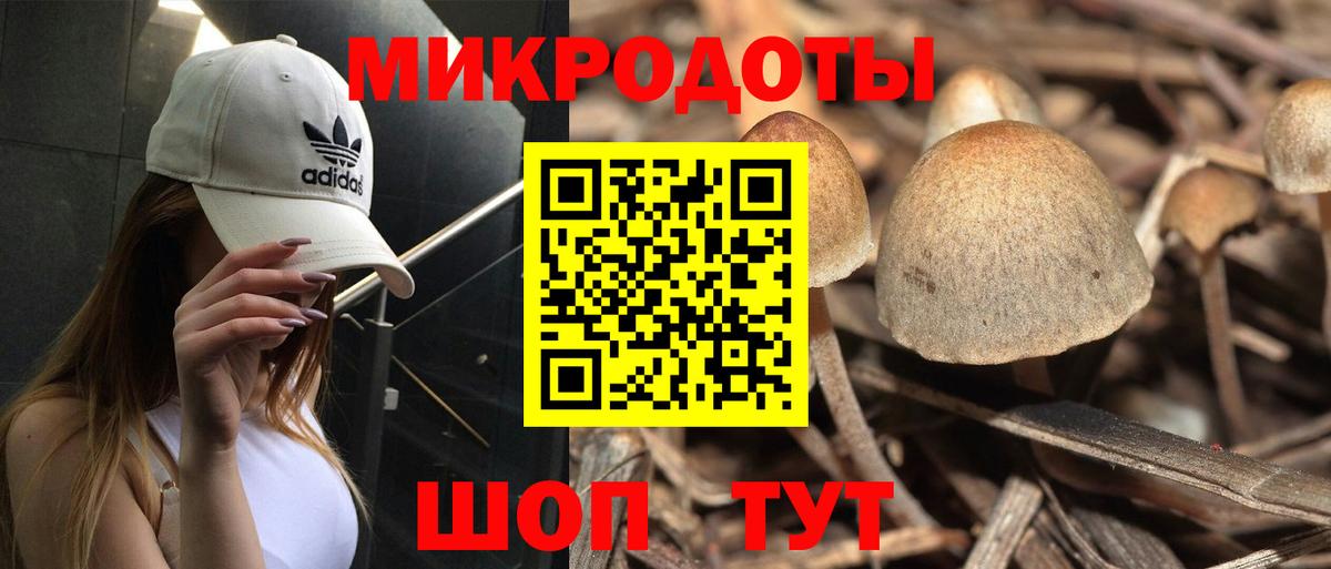 Псилоцибиновые грибы Psilocybine cubensis  Вход с VPN  Псилоцибиновые грибы Psilocybe  Лысьва 